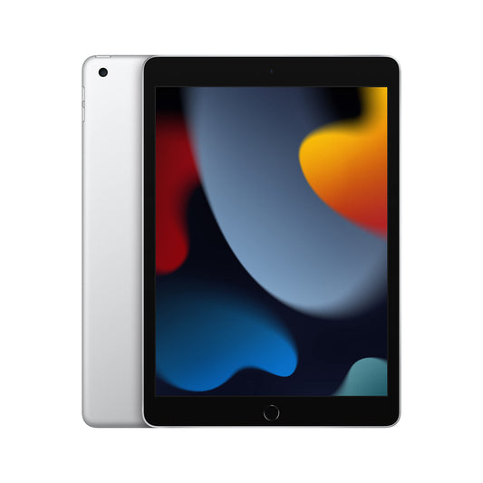 Apple iPad Silver Promo