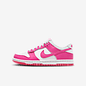 Nike Dunk Low Shoes summary